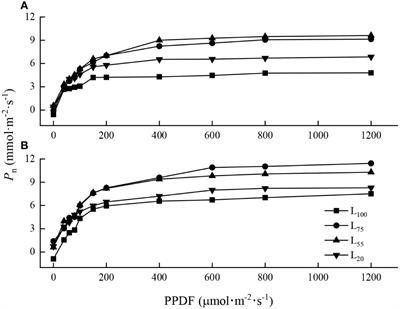 Effect of light intensities on the photosynthesis, growth and physiological performances of two maple species